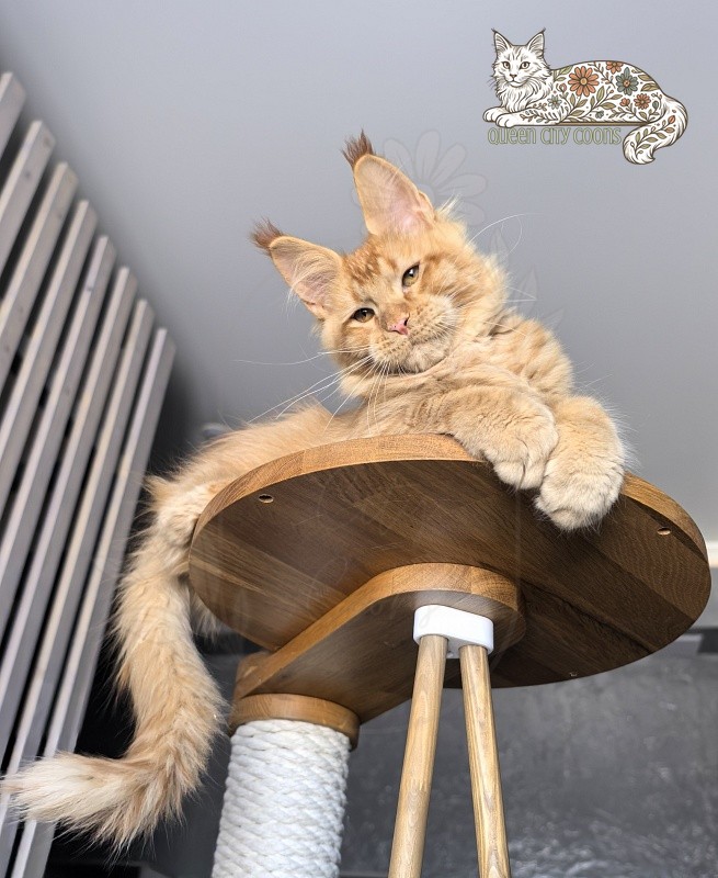 Image of King Zeus