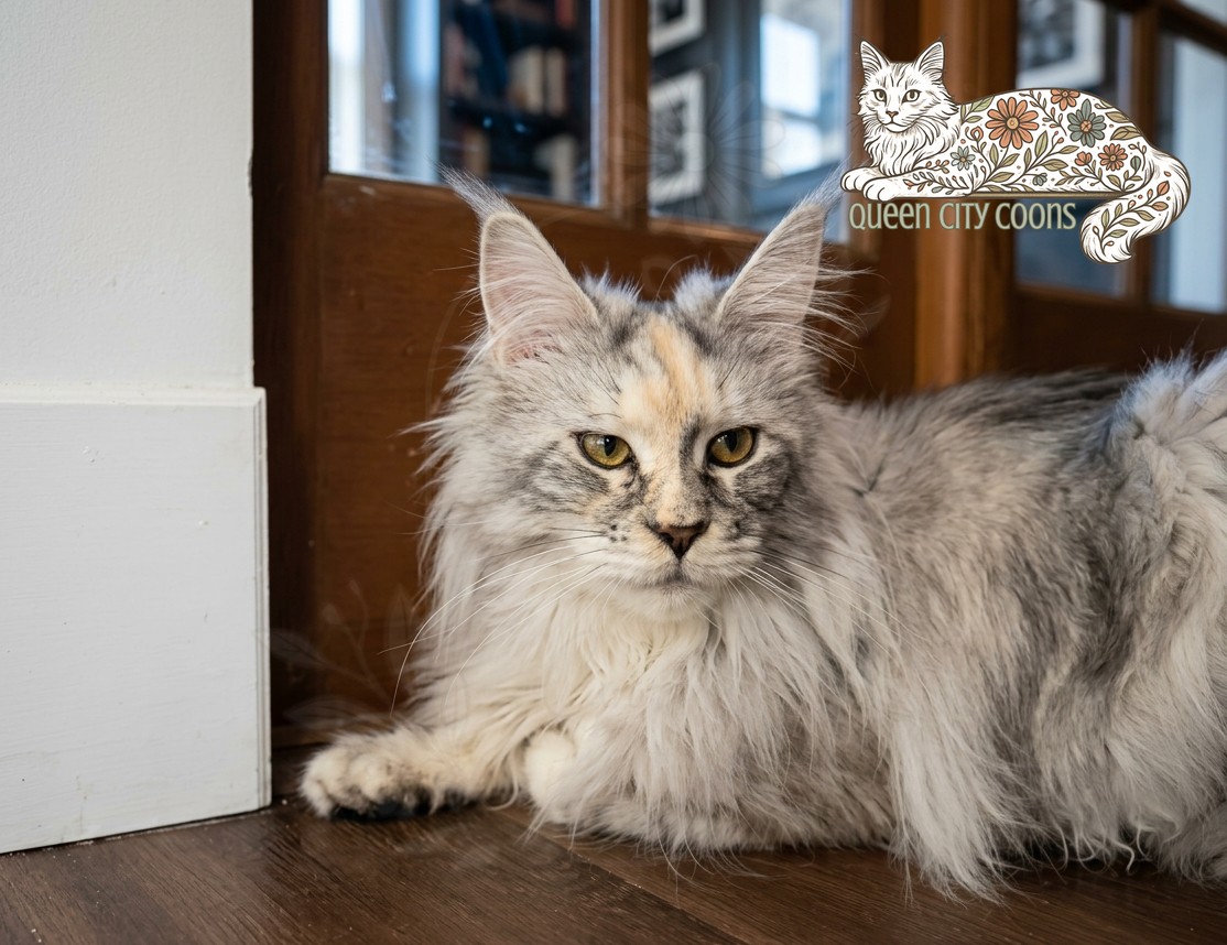 Image of Queen Iris